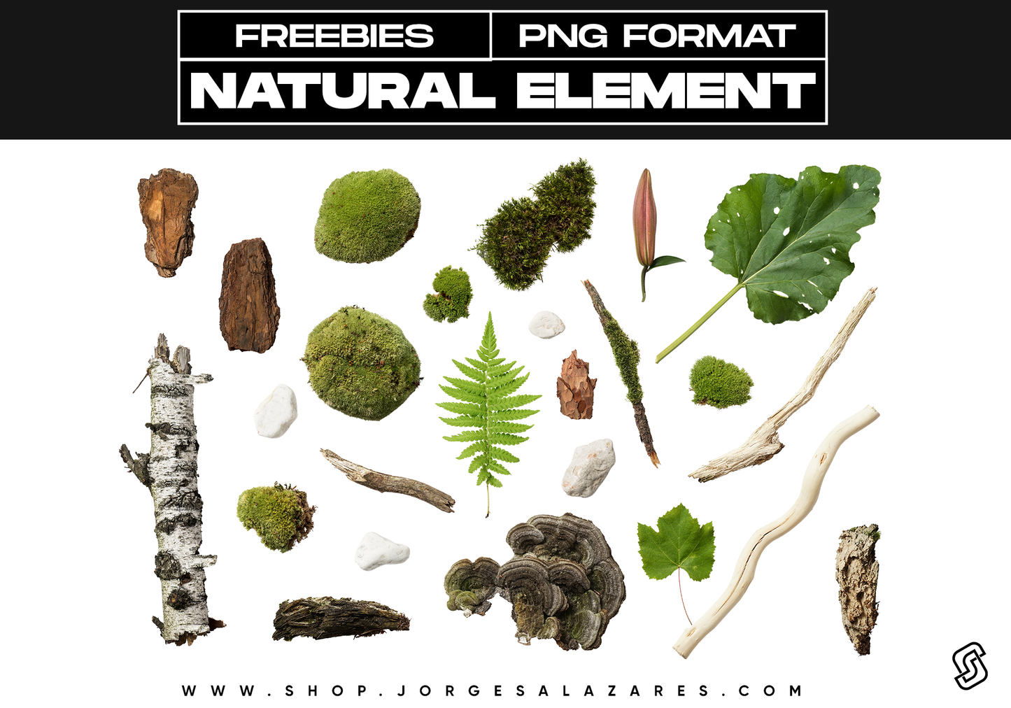 Natural Element 6