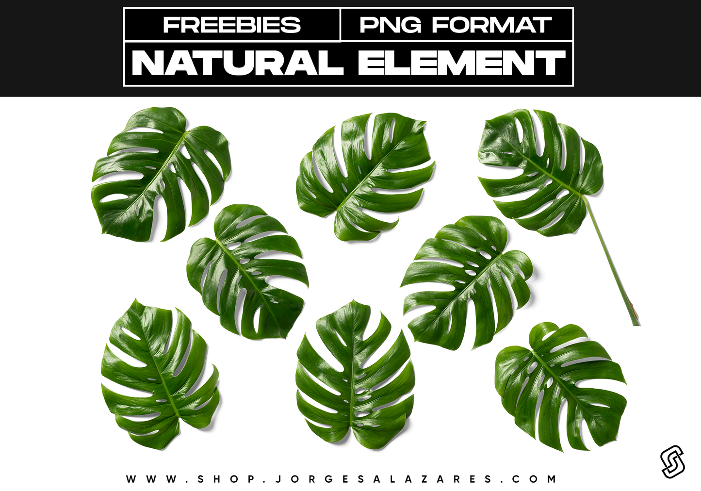 Natural Element 5